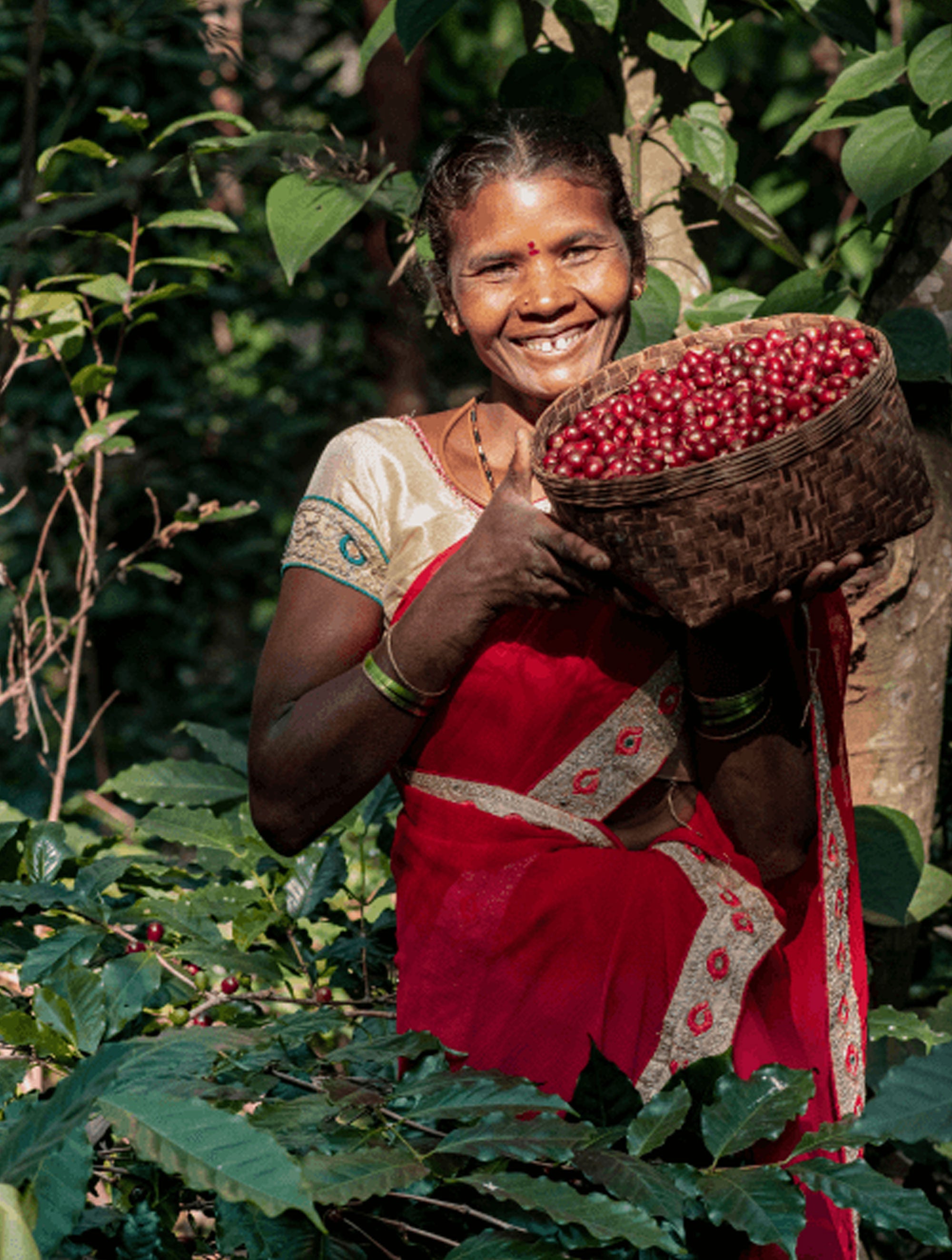 Araku