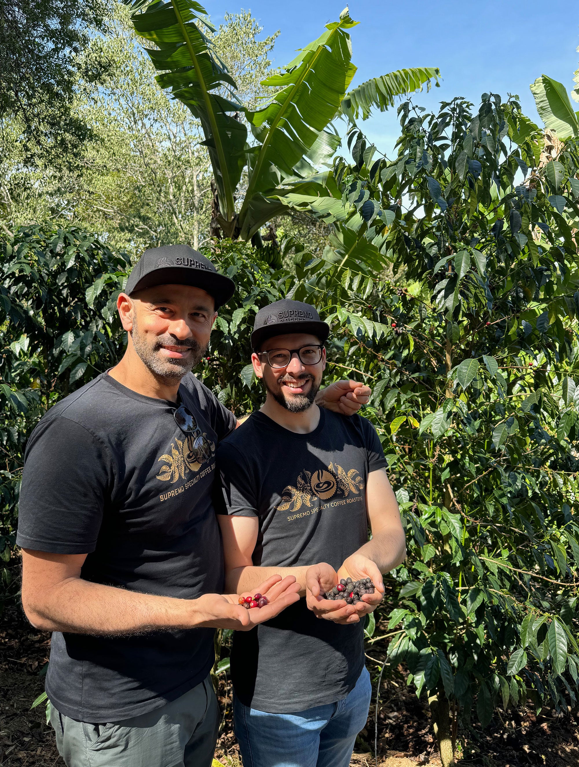 Finca Dona Elsa Single Origin 250g