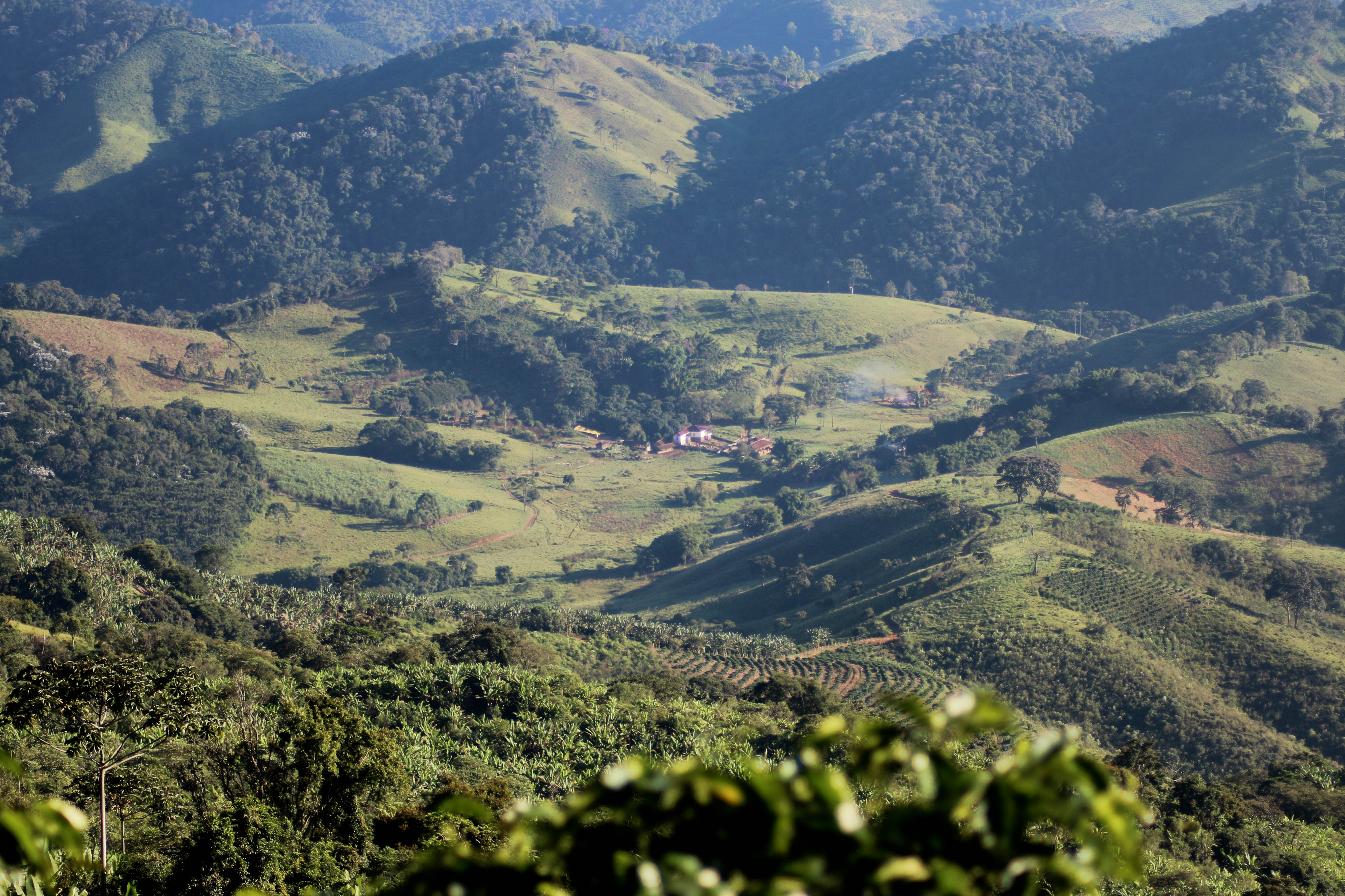 Três Barras