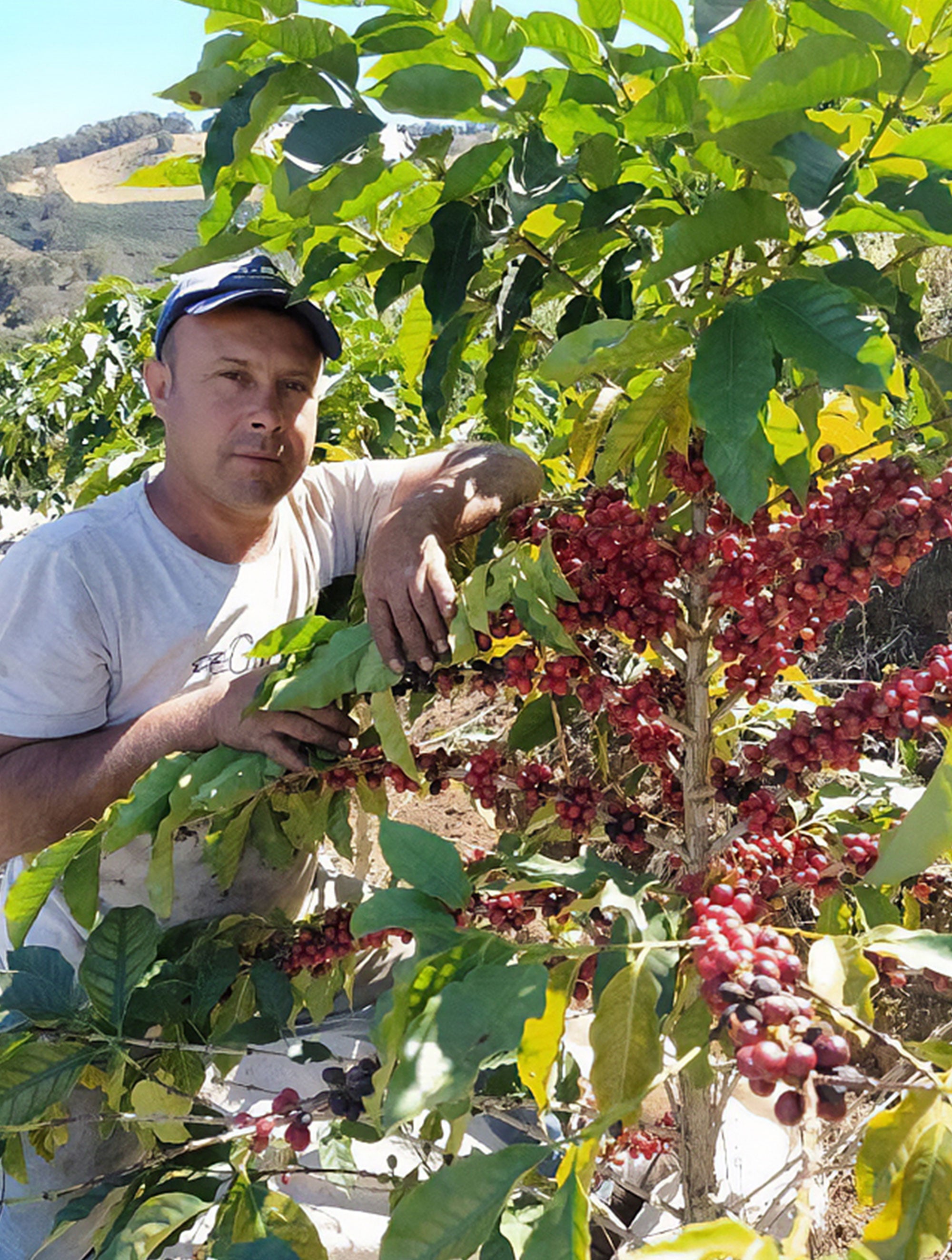 Santa Luzia COE 2025