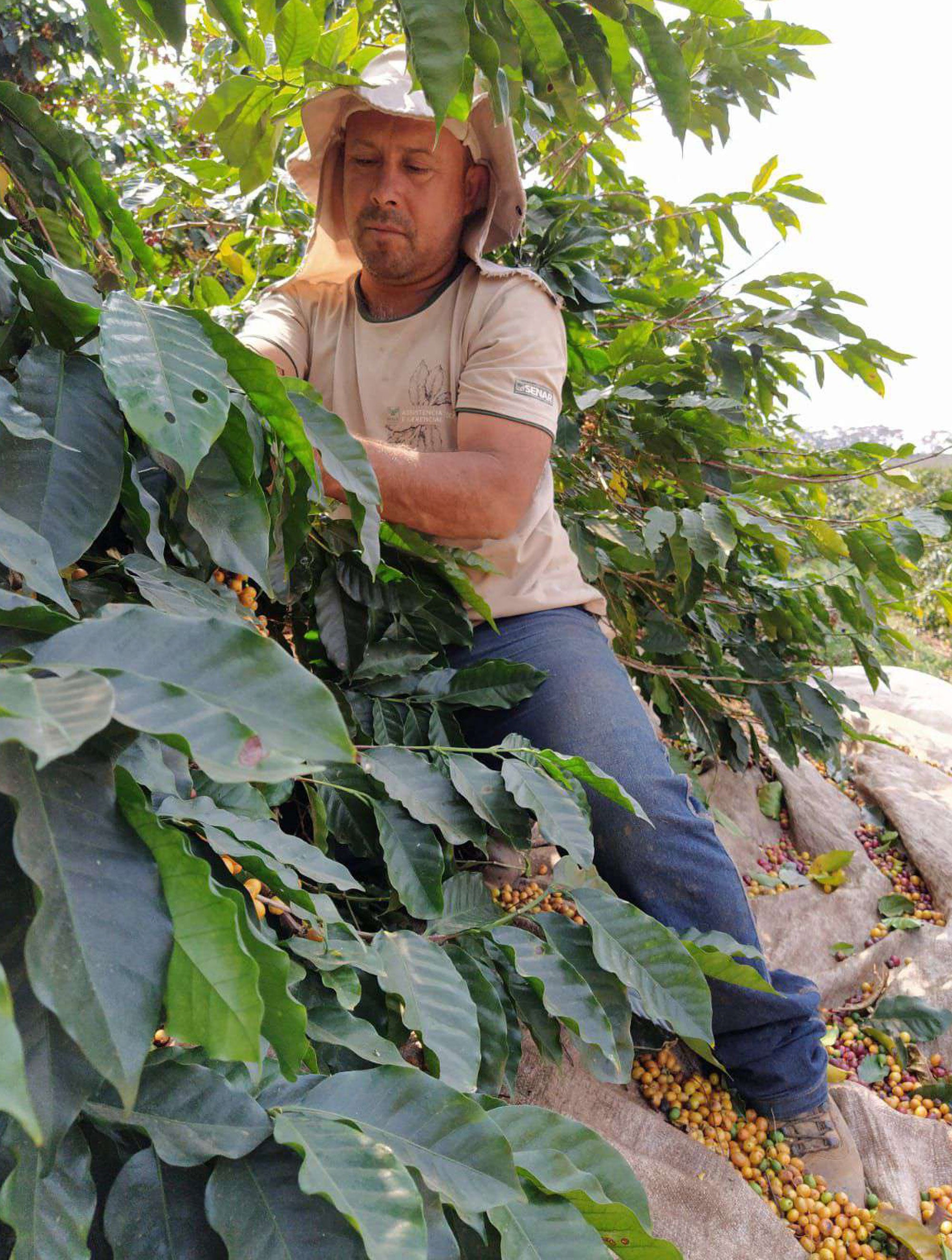 Santa Luzia COE 2025