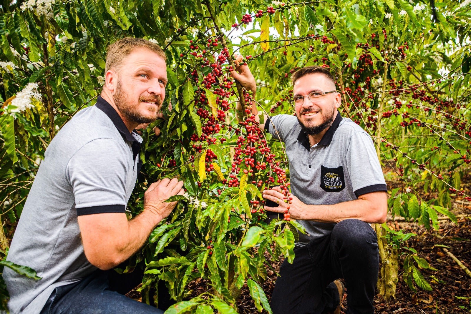 Fazenda Venturim