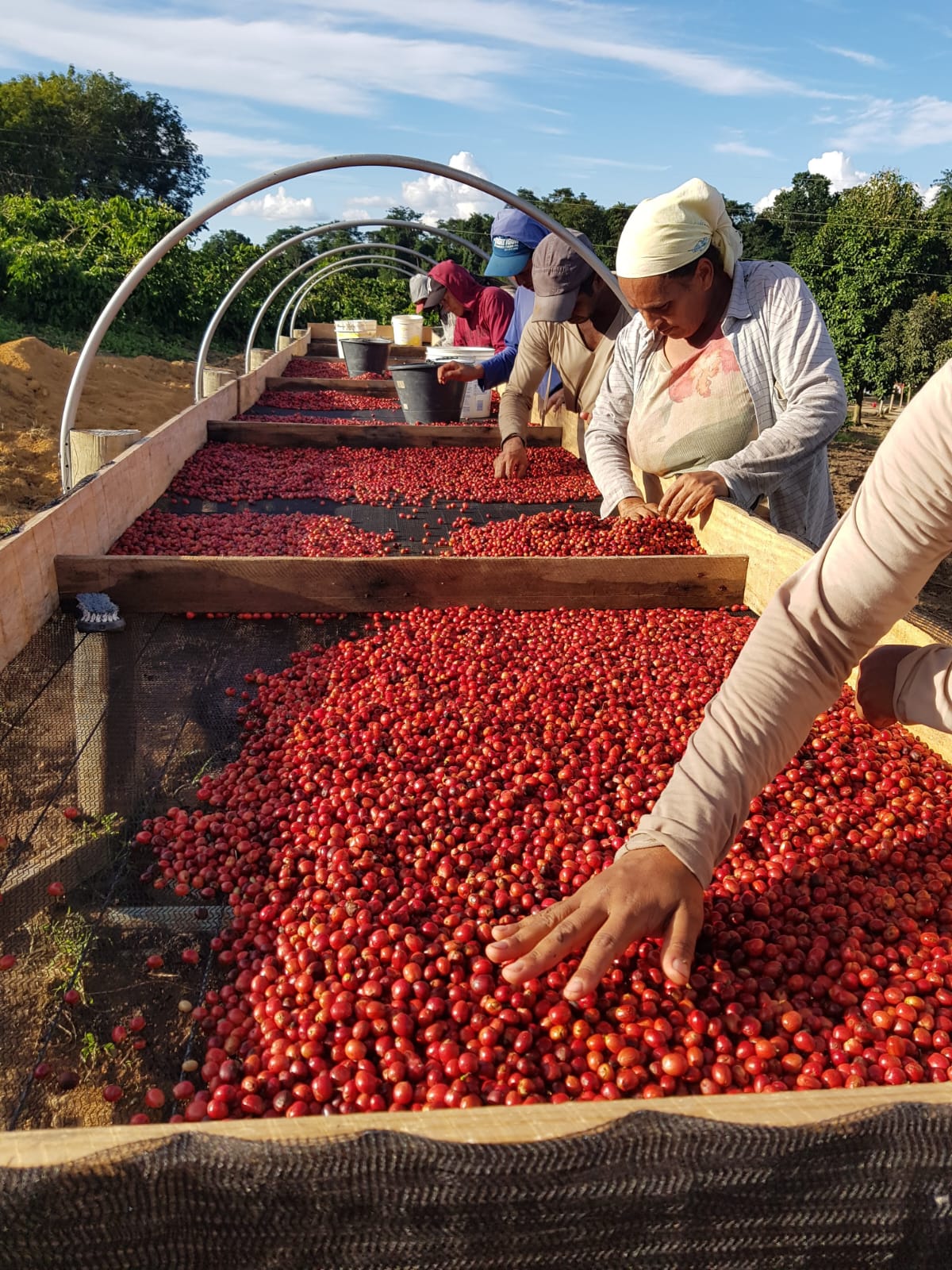 Fazenda Venturim