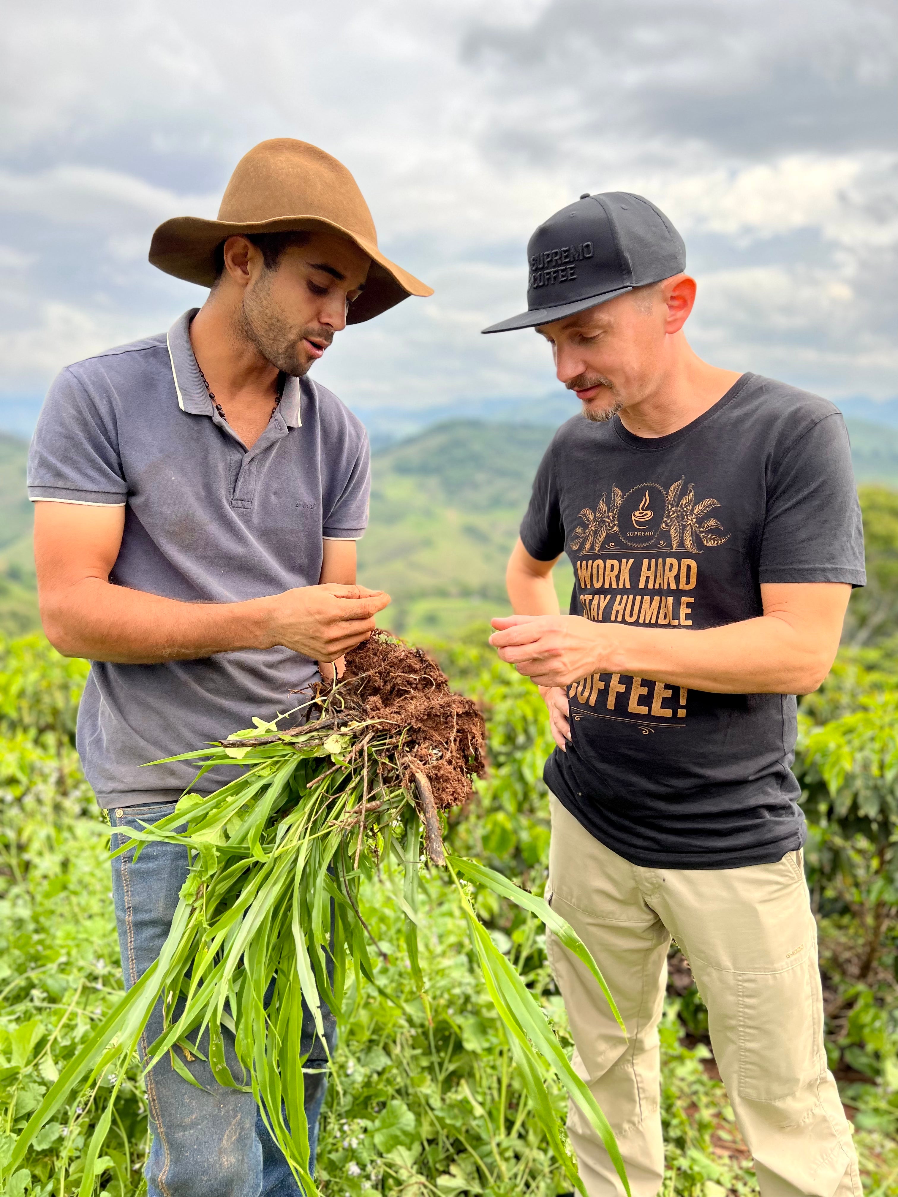 Antonio Marcio da Silva und Raphael Braune (SUPREMO) begutachten eine ausgegrabene Pflanze. Sítio Baixadão, Brasilien | SUPREMO Coffee