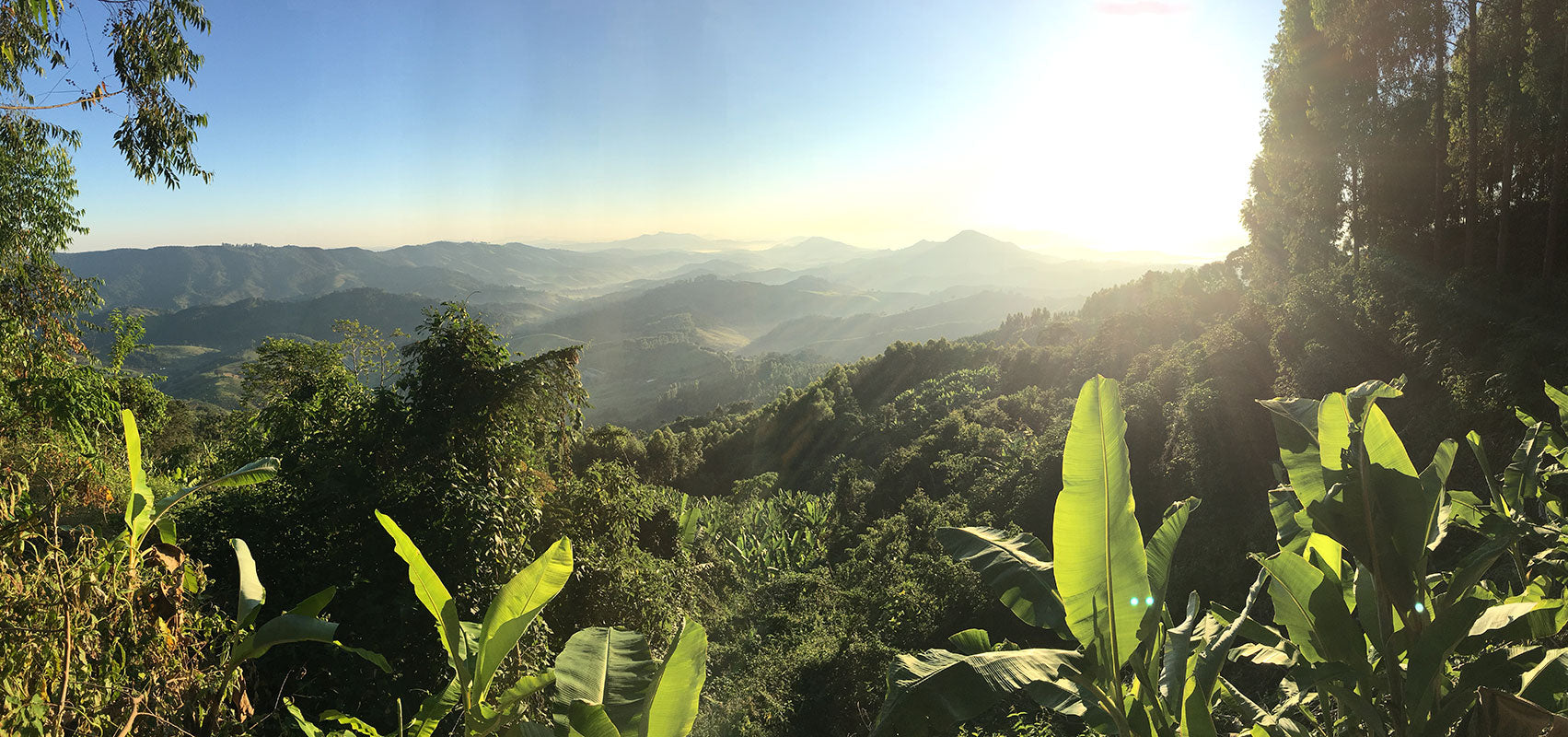 Ausblick von der Farm Três Barras, Brasilien | SUPREMO Coffee