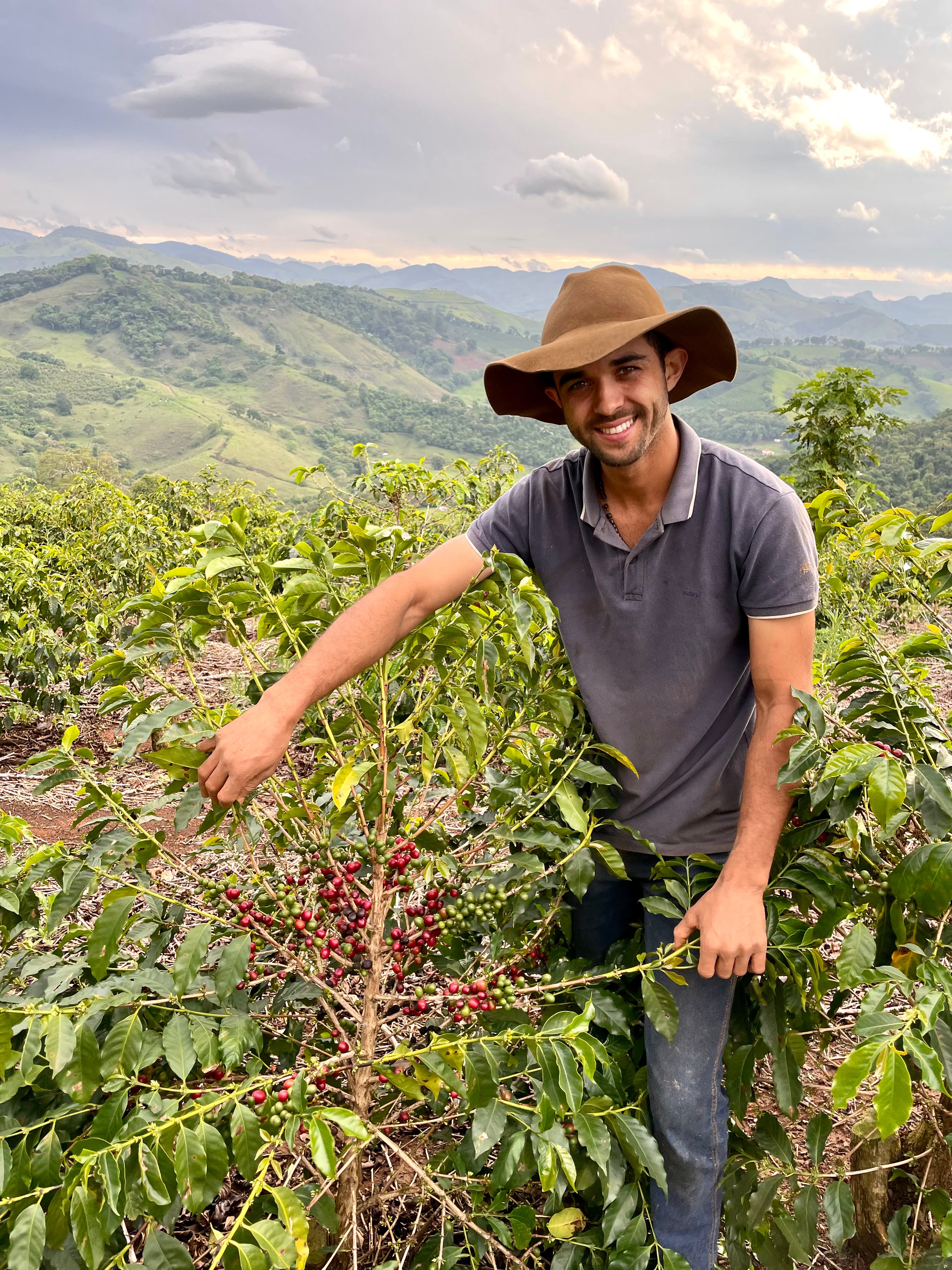 Antonio Marcio da Silva zeigt Kaffeepflanze, die Früchte trägt. Sítio Baixadão, Brasilien | SUPREMO Coffee