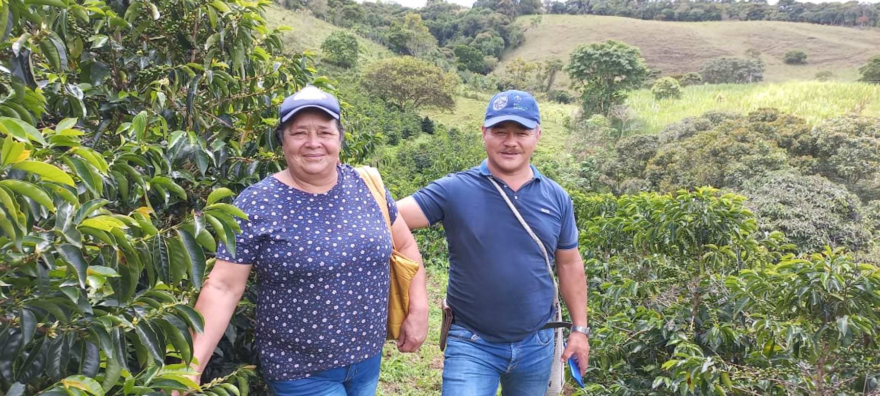Maria Rovira Muñoz De Burbano zwischen Kaffeepflanzen. Pink Bourbon, Kolumbien | SUPREMO Coffee